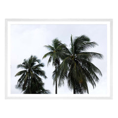 Breezy Palms